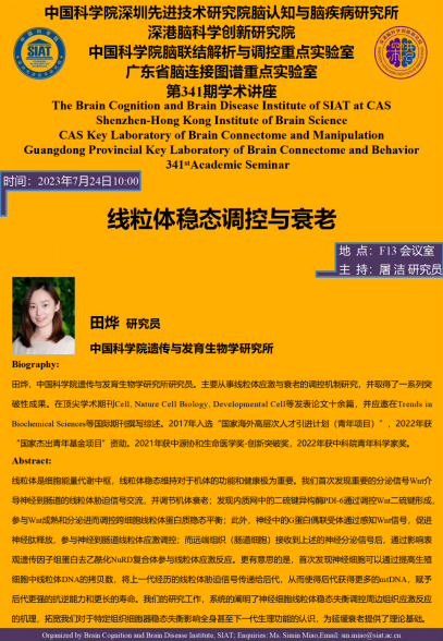 线粒体稳态调控与衰老